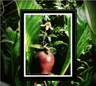 5 Exhibitions for Earth Day