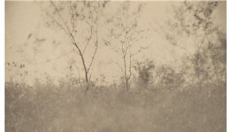 Spring, Lenore, and A Bit of Paris, from Camera Work, No. 17 - Joseph T. Keiley