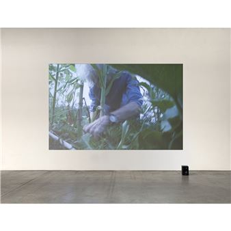 Simone Forti: An Other Pretty Autumn - The Box, Los Angeles
