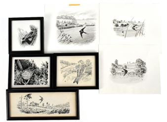 Studies of various birds - Alan Harris