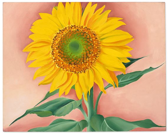 A Sunflower from Maggie by Georgia O'Keeffe, Painted in 1937