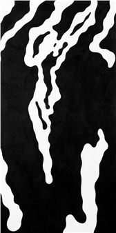 The riddle of the bark - The cormorant dimension - Cristallo Odescalchi