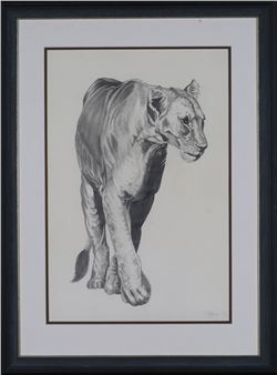 Lioness Walking - Gary Hodges