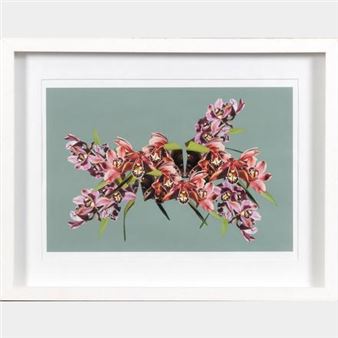 photo collage on cotton paper - Steven Bosch