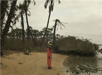 Parallel Projects in Venice: Exhibition Highlights