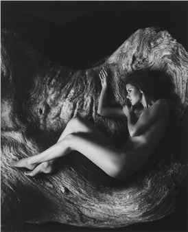 Naked Roots - Jake Armour