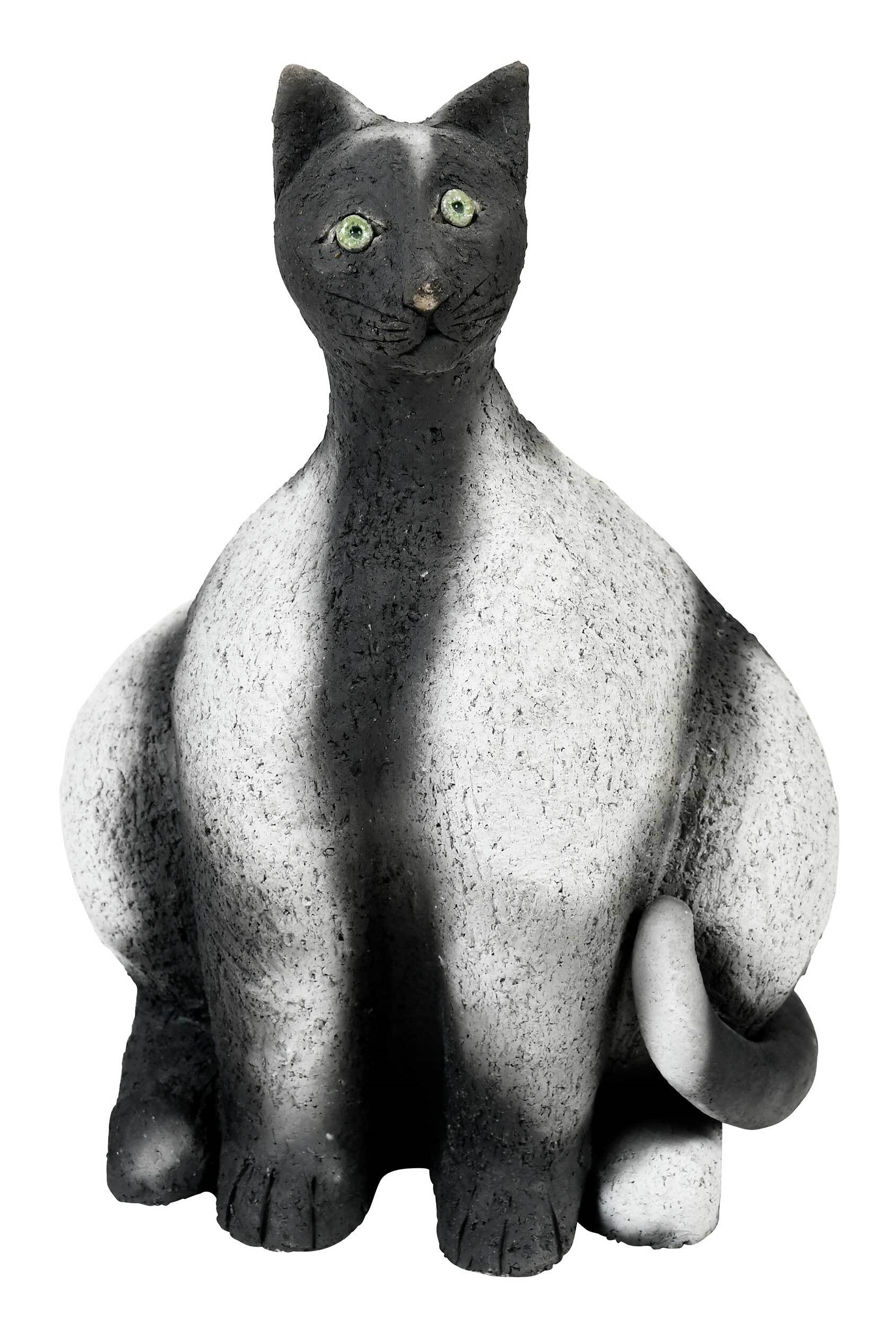A Black and White Cat with Green Eyes - Jean-paul Bonnet