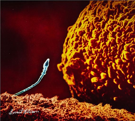 First date, from "A child is born"