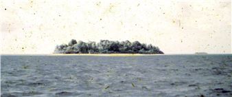 The Cube: Taloi Havini and Michael Toisuta: Hyena Lullaby - Mosman Art Gallery