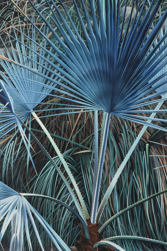 Artwork by Simeon Lagodich, Desert Room, Made of watercolor on paper