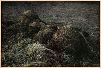 Untitled from series Spacery - Krzysztof Maniak