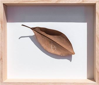 Untitled - Katarzyna Przezwańska