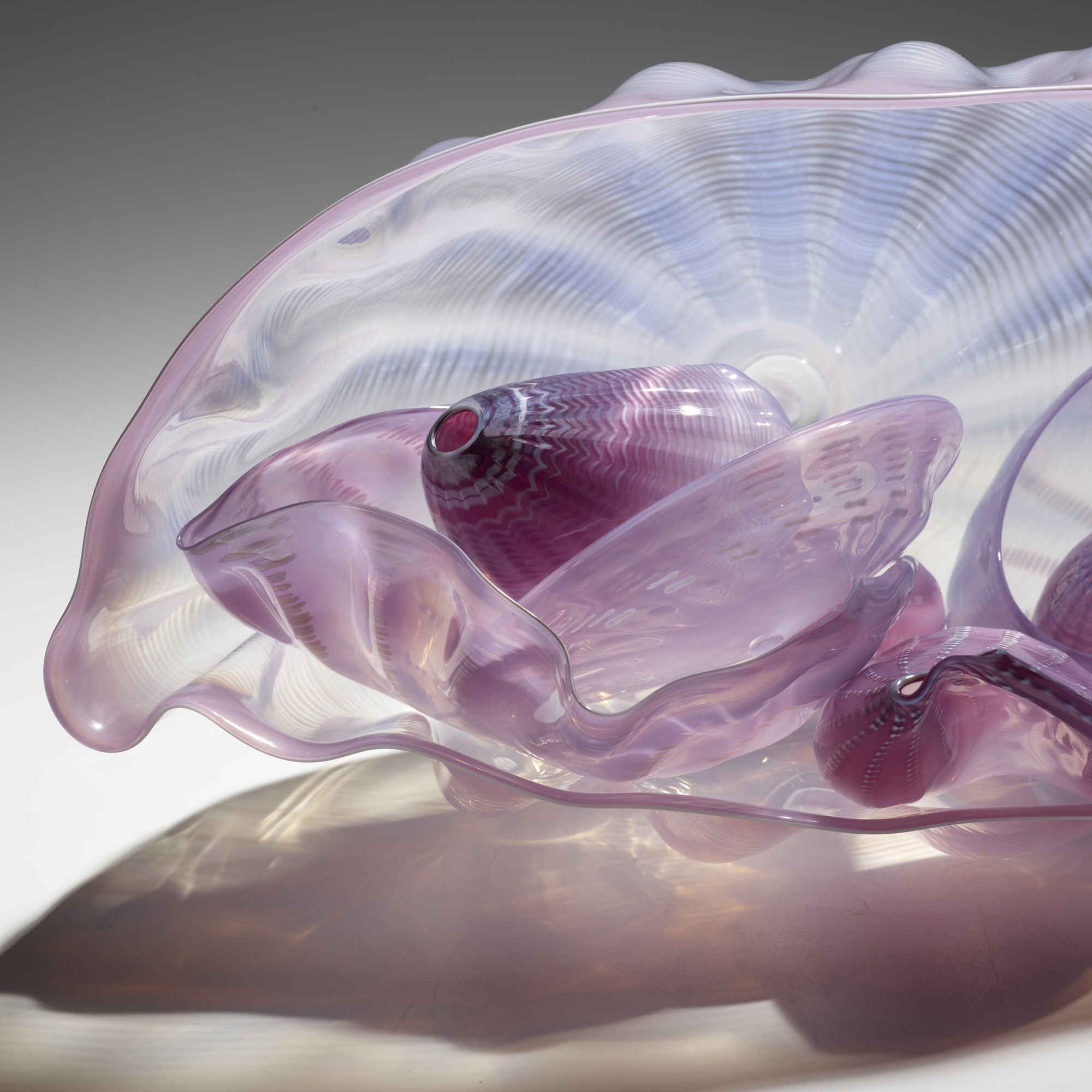 Nymph Pink Seaform Set With Foam White Lip Wrap