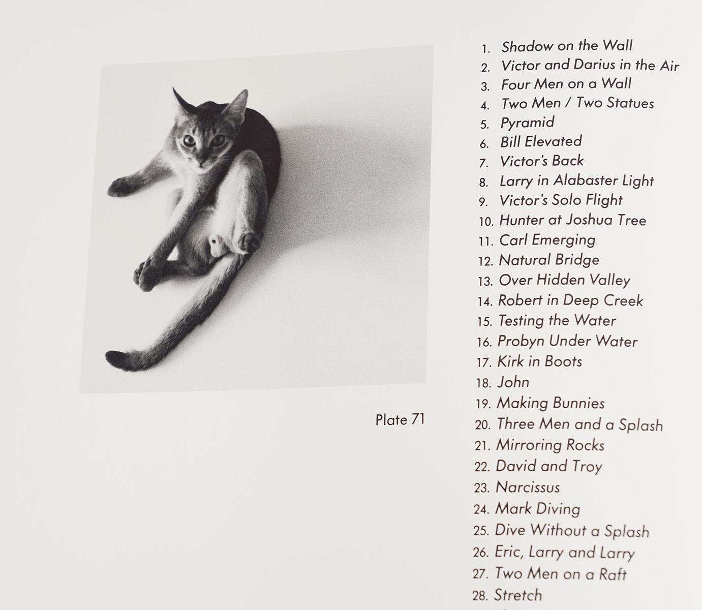 Artwork by Tom Bianchi, Tom Bianchi 'Tan Line' B & W Photograph 1990, Made of black & white photograph