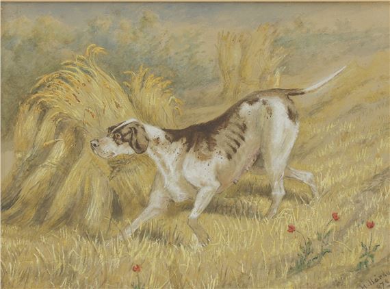 H. Hardy | A pointer bitch in a wheat field (1878) | MutualArt