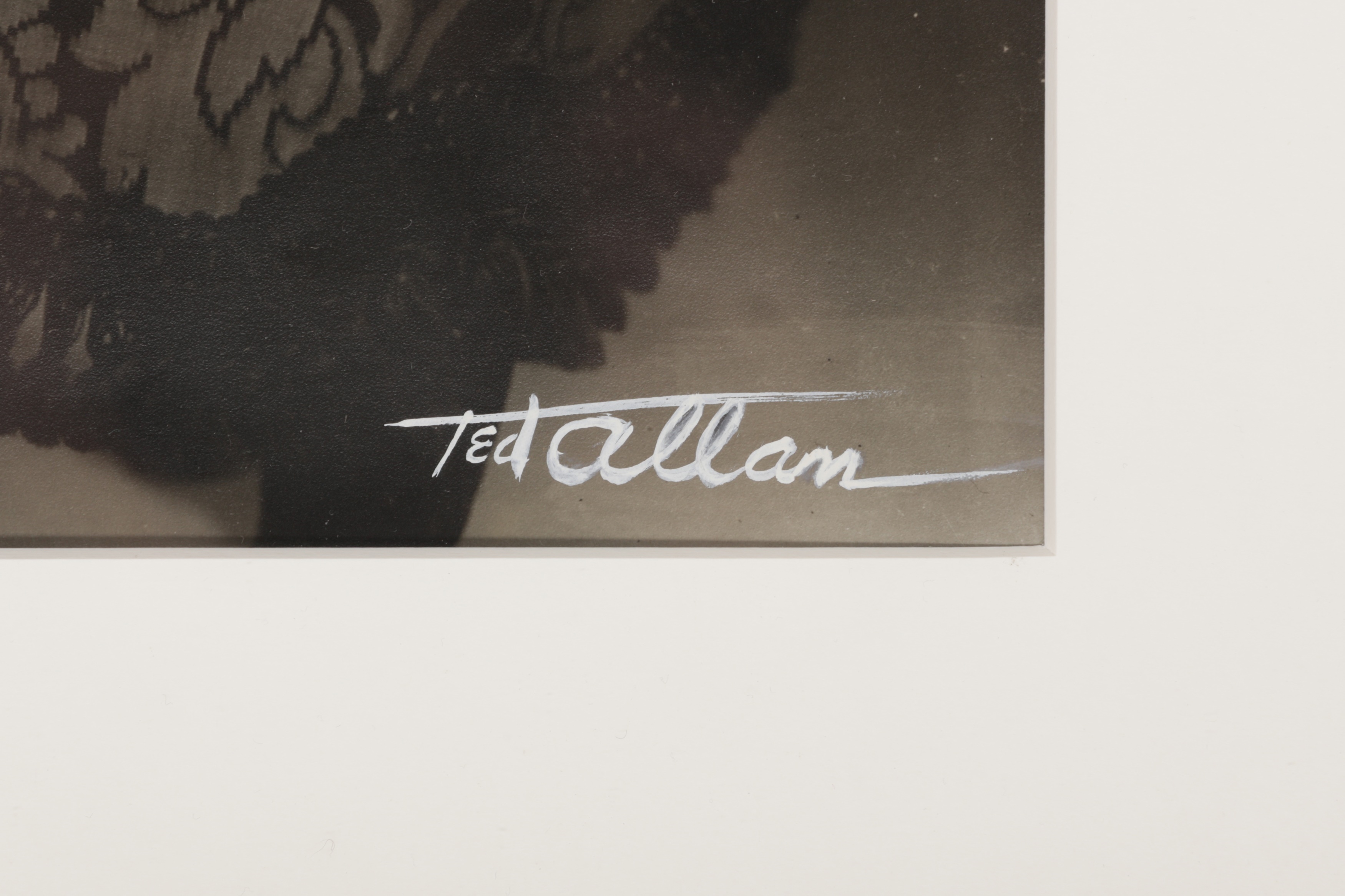 Artwork by Ted Allan, GROUCHO MARX, Made of Silver gelatin print