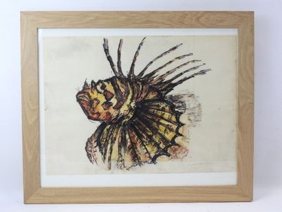 Artwork by Charles  BELBEOC'H, Rascasse, Made of Watercolor on paper