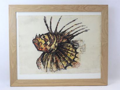 Rascasse by Charles  BELBEOC'H