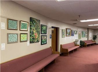 Pop-Up @ the PAC Exhibit #5: Verdant Visions - Ormond Memorial Art Museum & Gardens