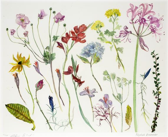 Flowers from a Scottish Garden by Elizabeth Blackadder, 2013