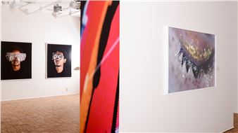 Princeton University Art Museum Presents "Screen Time: Photography and Video Art in the Internet Age"