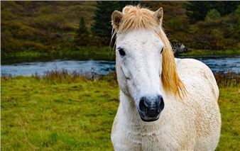 Dave & Sean Fulghum: The Legacy Project - McLean County Arts Center