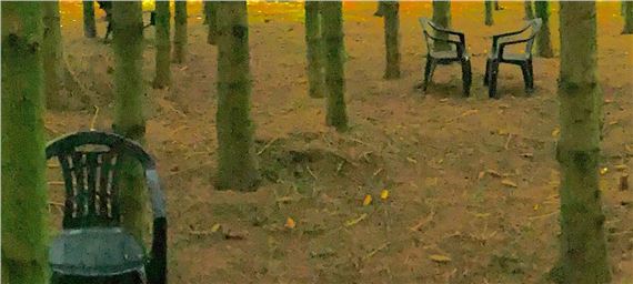 Menneske Og Natur: I Den Antropocæne Tidsalder - Skovgaard Museum