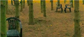 Menneske Og Natur: I Den Antropocæne Tidsalder - Skovgaard Museum