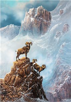 Top of the Morning - Ted Blaylock