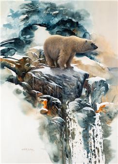 Nomad of the Ice - Morten E. Solberg