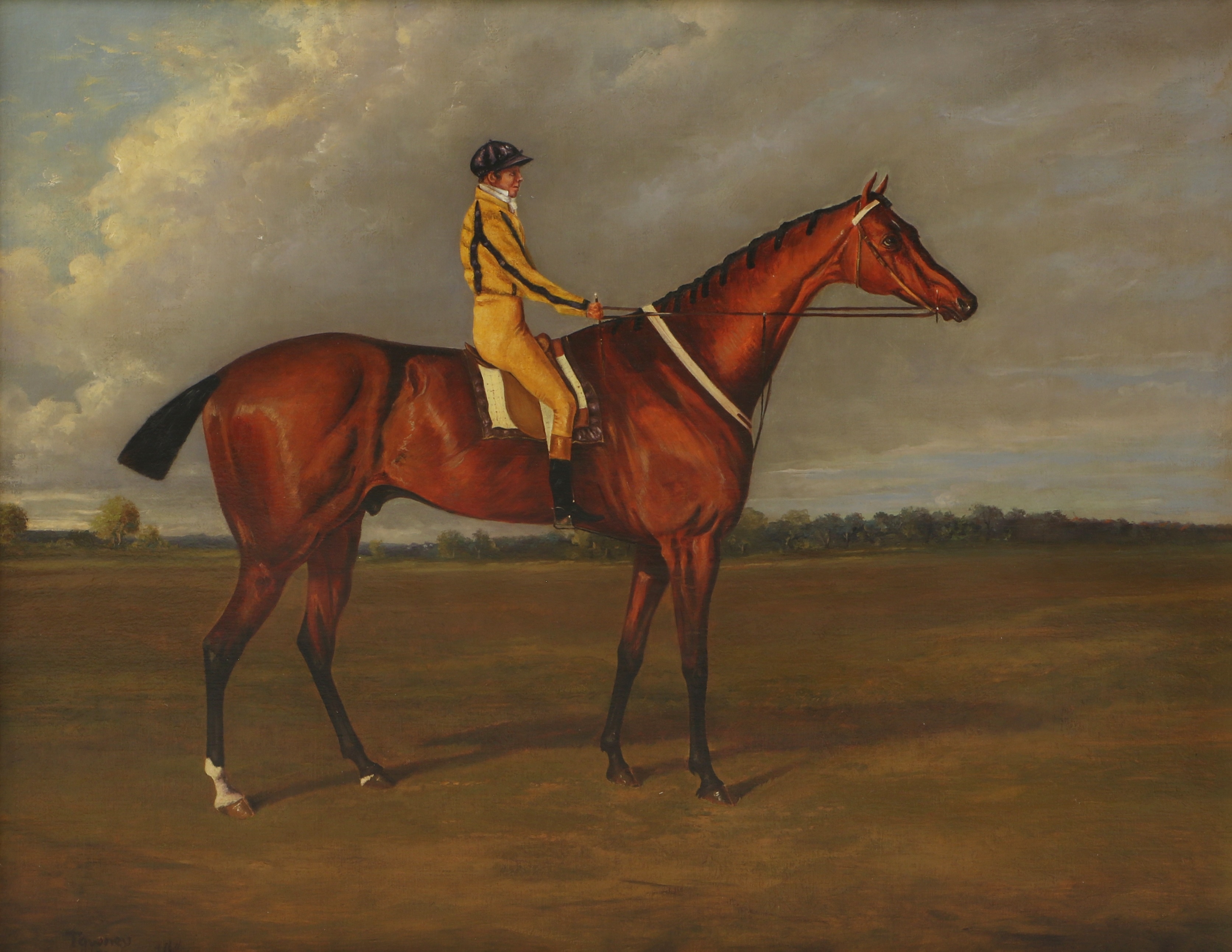 British School, 19th Century | Portrait of a racehorse called Tawney ...