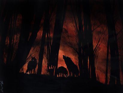 Wolves by Christophe Chabouté