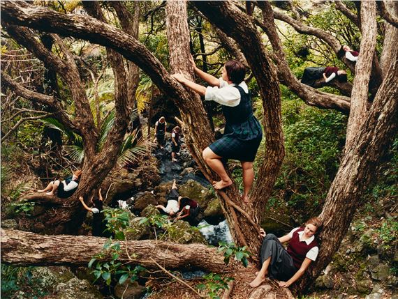 Jungle Gym by Justine Kurland, 2001