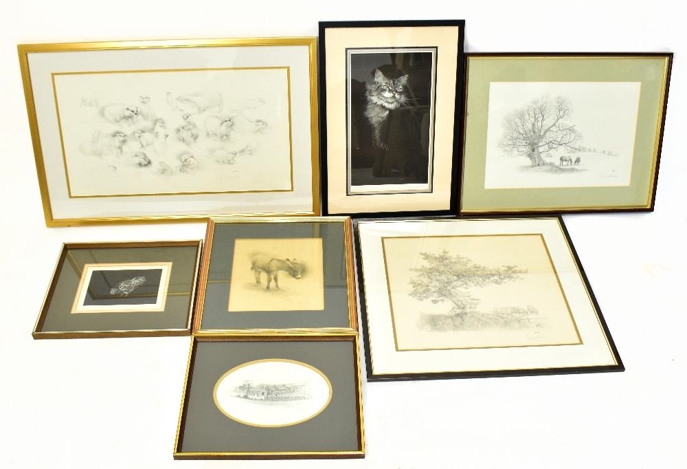William Geldart | Studies of Otters | MutualArt