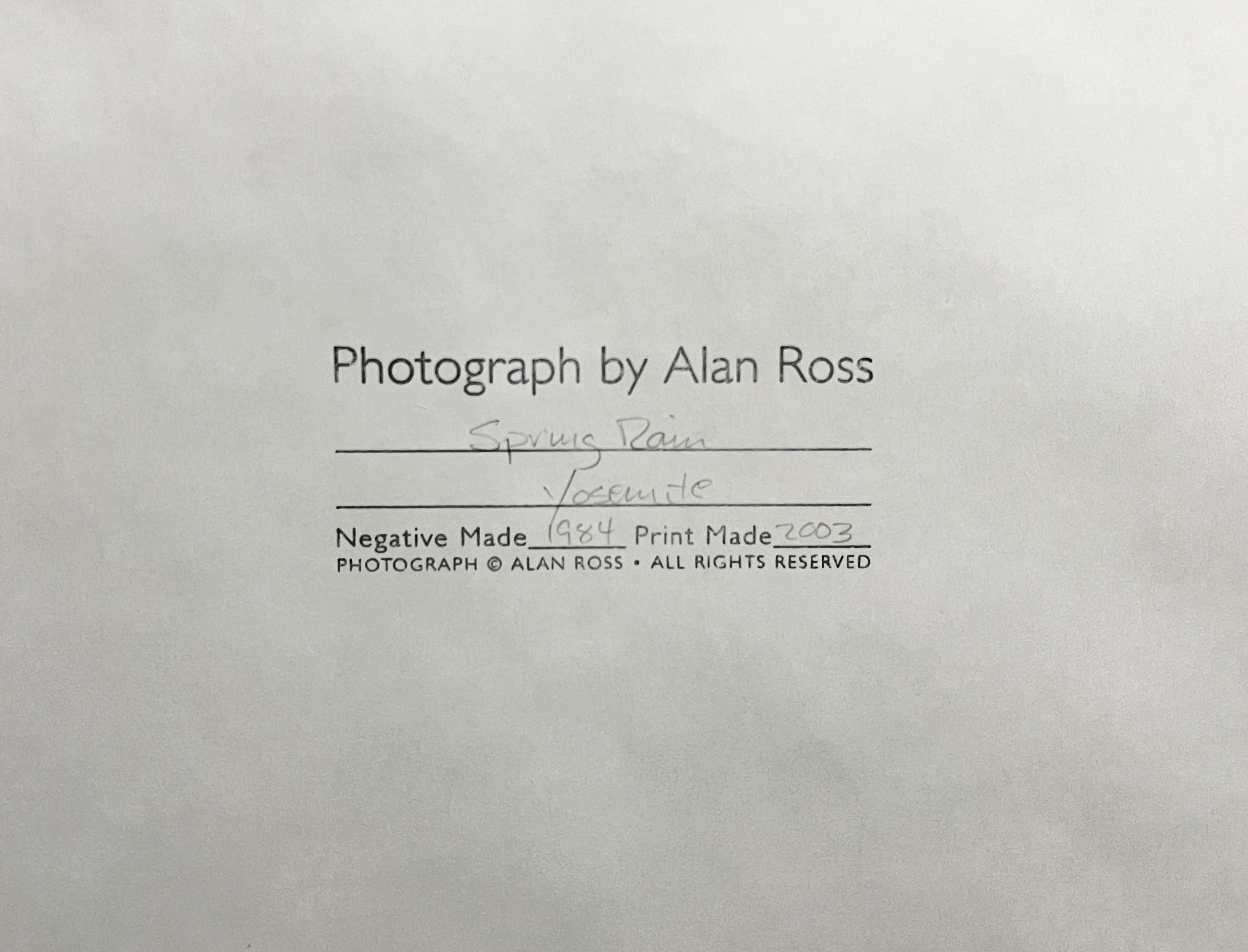 Alan Ross | Spring Rain | MutualArt