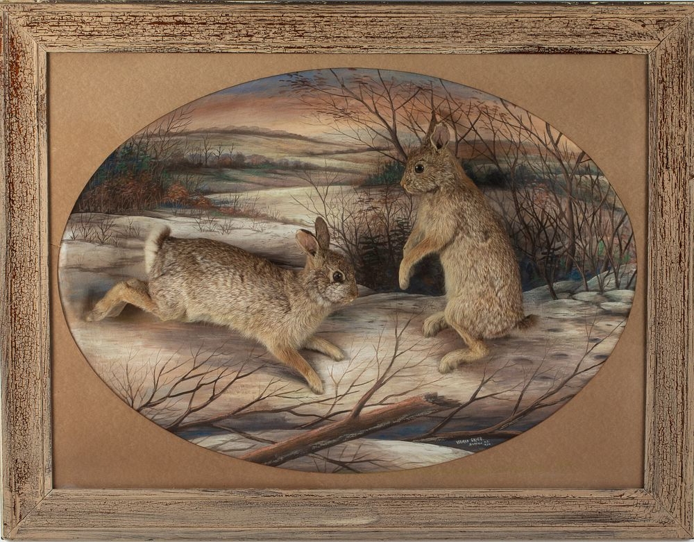 Artwork by Herman Grieb, Rabbit, Made of Taxidermy