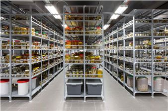 Keren Gueller: Wet Collection - RawArt Gallery