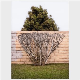 Trini Circle, Westminister, California - Brad Moore