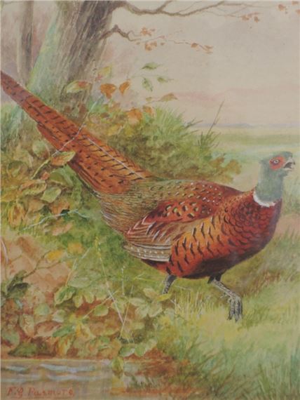 Pheasant by Frederick George Pasmore