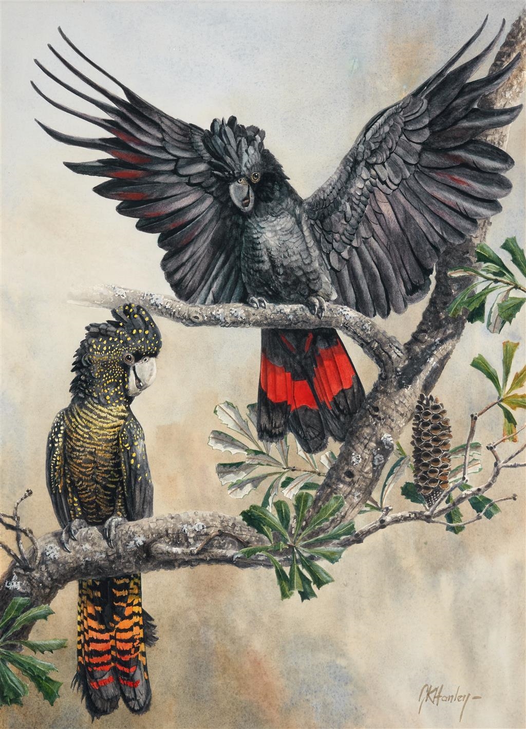 Gordon Hanley Black Cockatoos MutualArt
