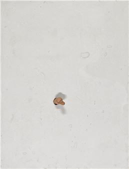 Keller Boys - Andra Ursuta