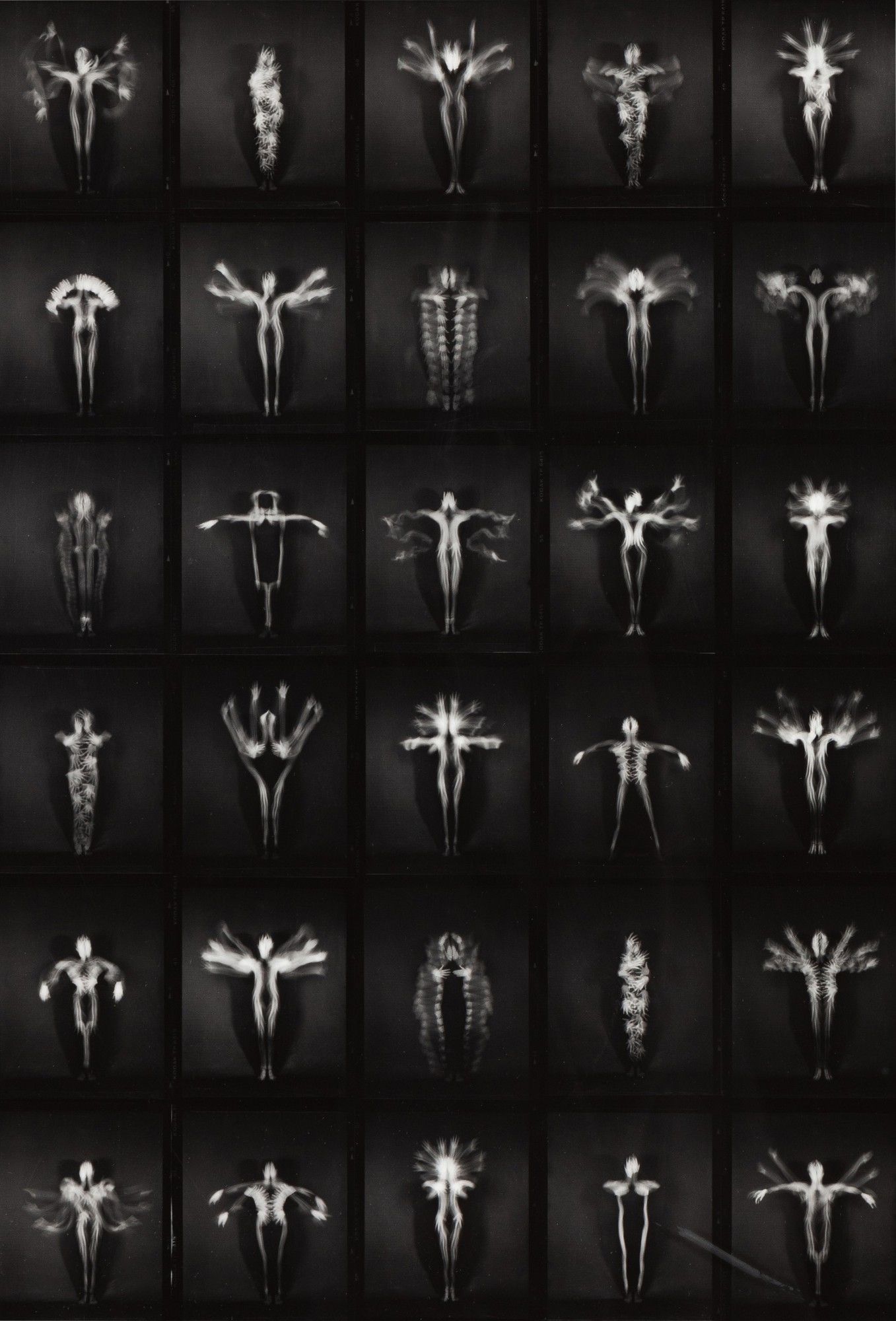 Artwork by Laurence Demaison, Personne - planche contact, Made of silver print