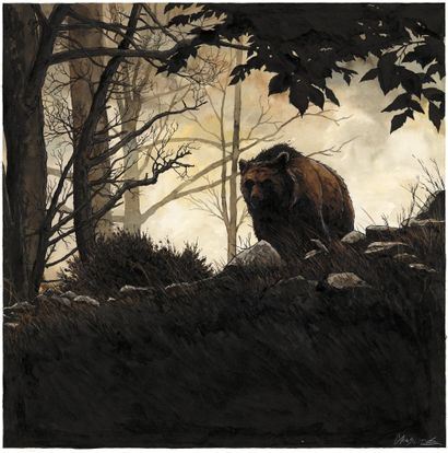 The bear by Christophe Chabouté