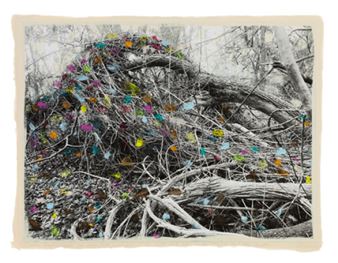 20 Years of AnzenbergerGallery - Anzenberger Gallery