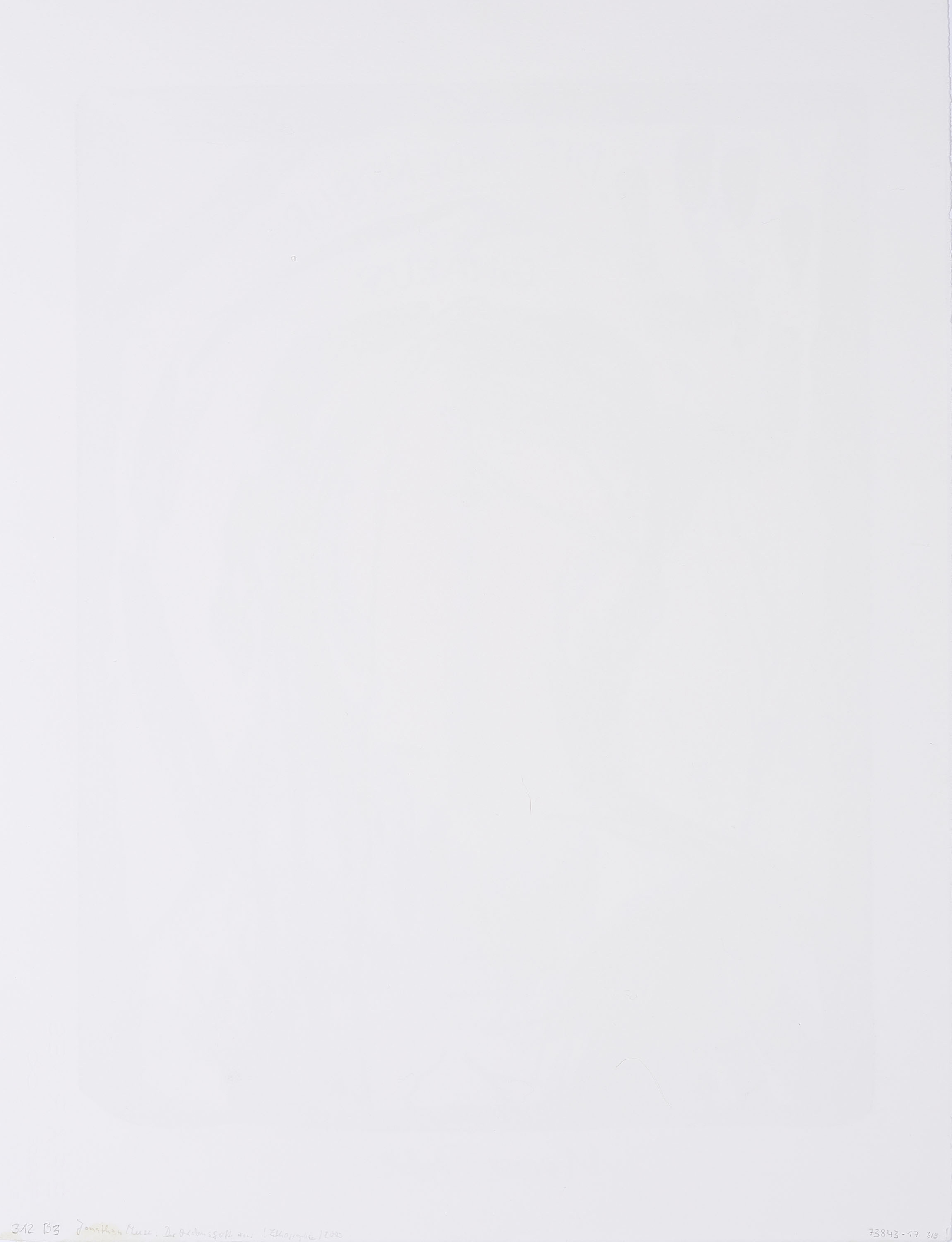 Artwork by Jonathan Meese, Mixed Lot of 5 Lithographs., Made of Lithograph on BFK RIVES