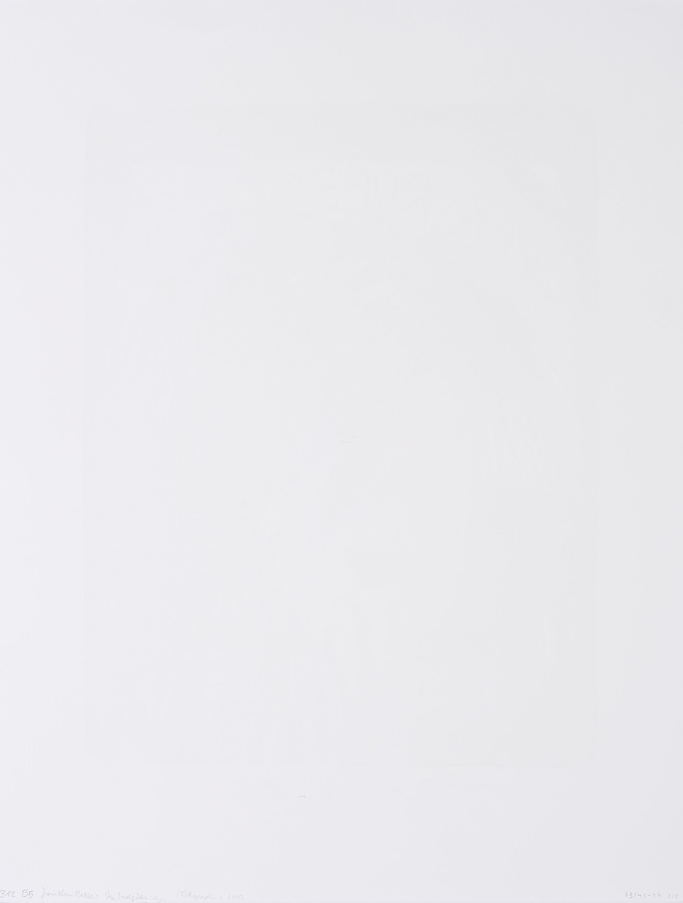 Artwork by Jonathan Meese, Mixed Lot of 5 Lithographs., Made of Lithograph on BFK RIVES