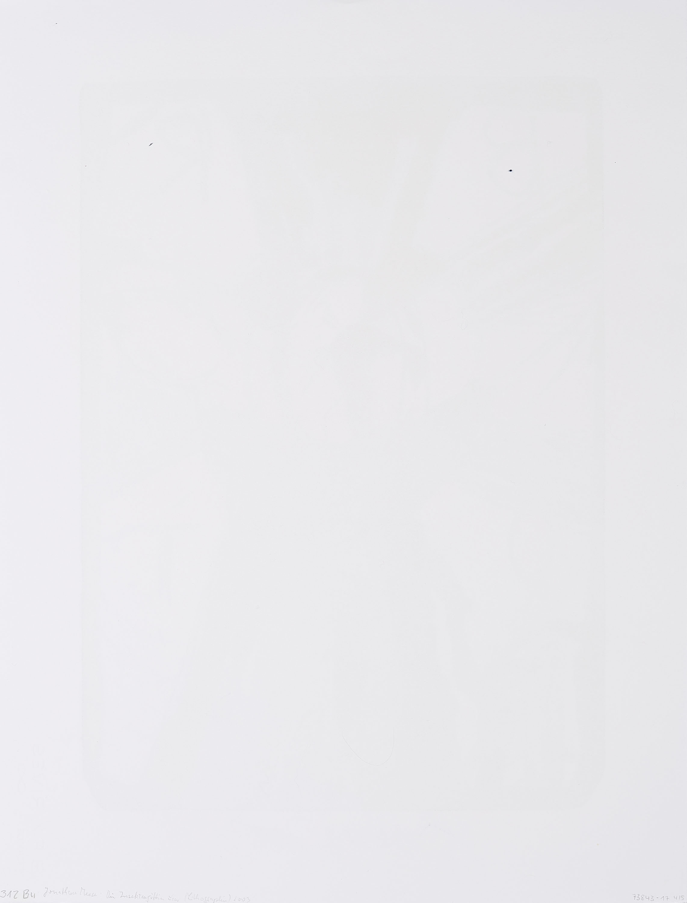 Artwork by Jonathan Meese, Mixed Lot of 5 Lithographs., Made of Lithograph on BFK RIVES