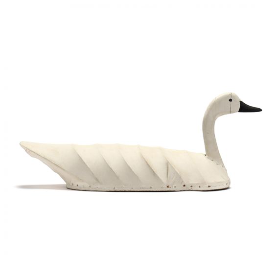 Swan