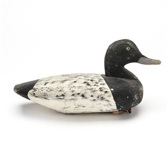 Bluebill - Alvah Fulcher