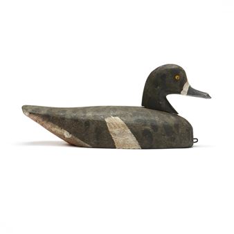 Hen Redhead - Dewey Salter